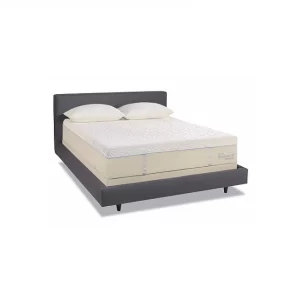 mau giuong ngu chat lieu go va kim loai ben dep gia tot avatar