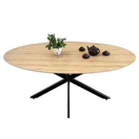 Bàn ăn Elip KANE 04 gỗ Plywood chân sắt