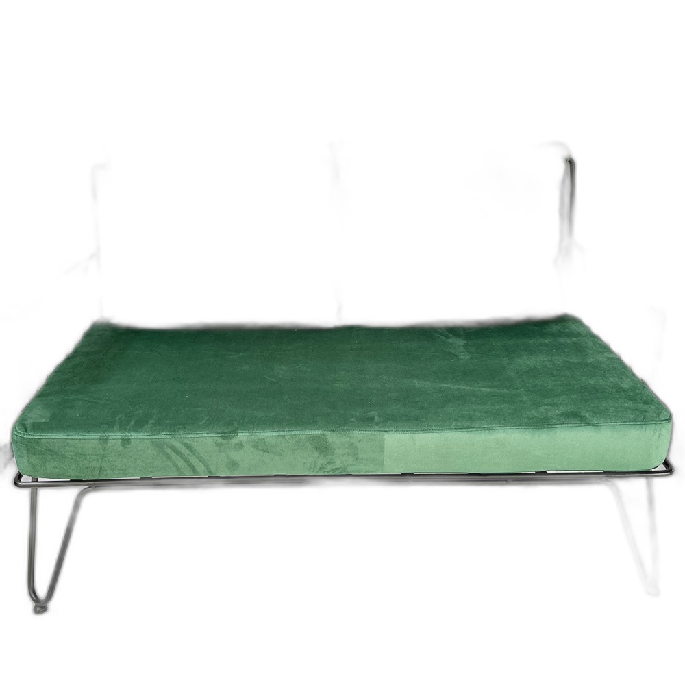 Ghế sofa băng 2 chỗ ngồi nệm xanh khung sắt SFB68057 Ghế sofa băng 2 chỗ ngồi nệm xanh khung sắt SFB68057